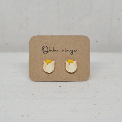 Tulpe