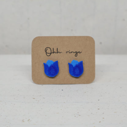 Tulpe